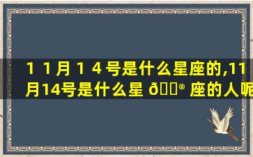 １１月１４号是什么星座的,11月14号是什么星 💮 座的人呢